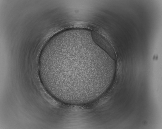 X0000114560673200911091219