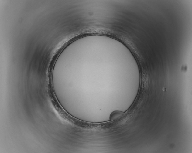 X0000114560674200911091219