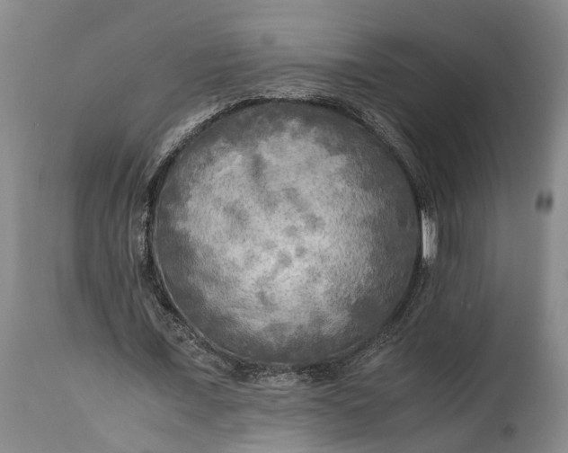 X0000114560675200911091219