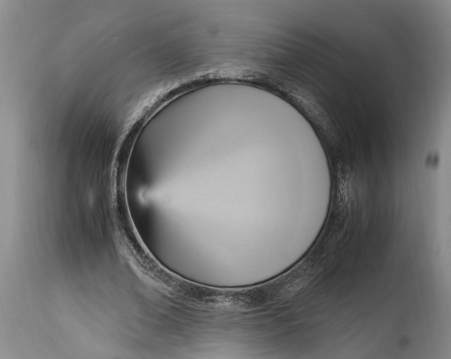 X0000114560678200911091218