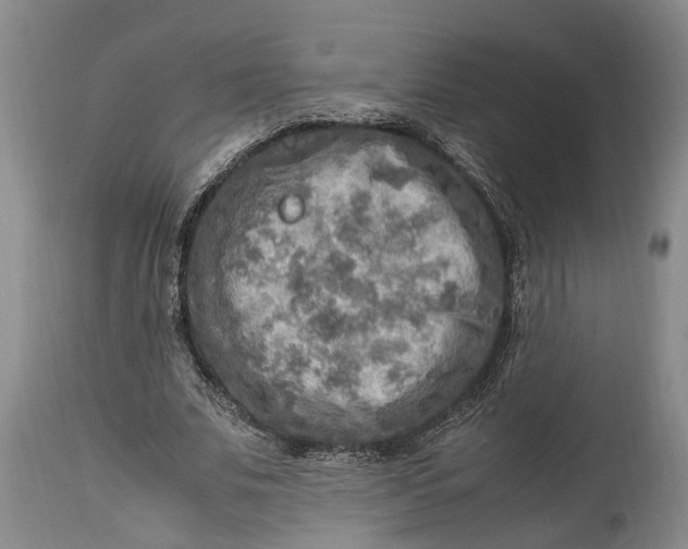 X0000114560679200911091218