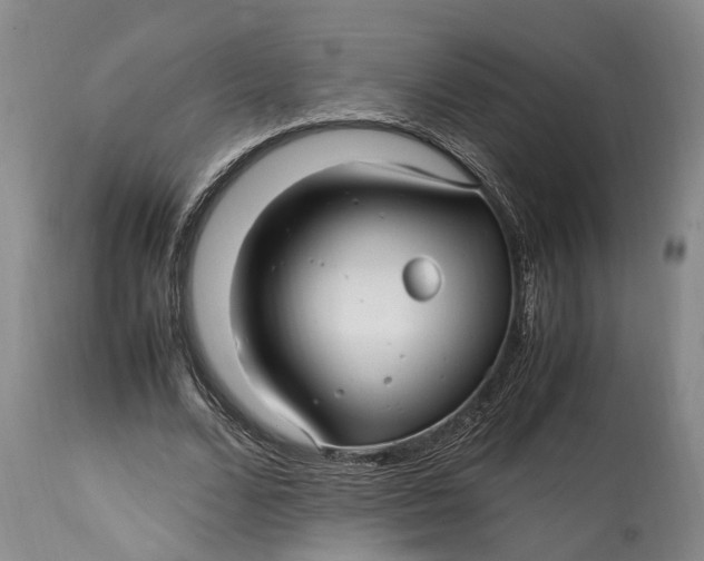 X0000114560680200911091218