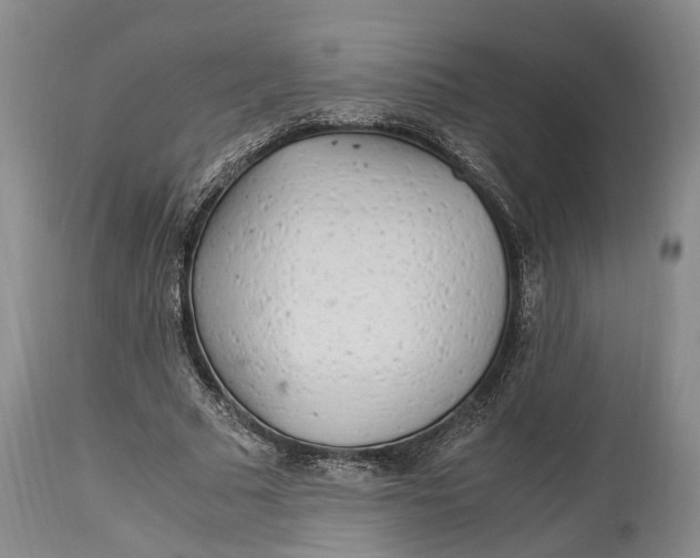 X0000114560681200911091218