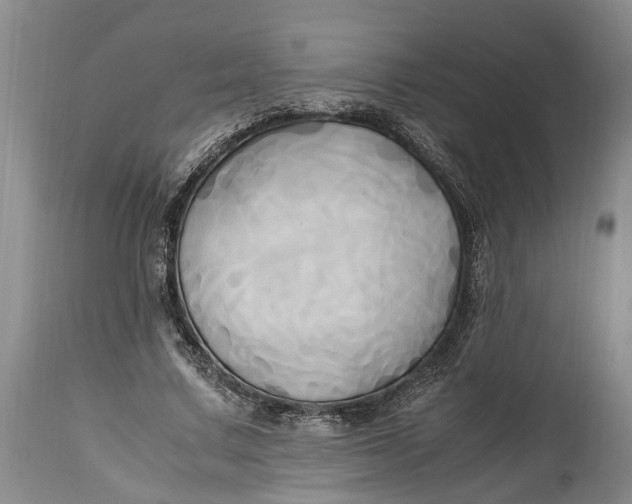 X0000114560683200911091218