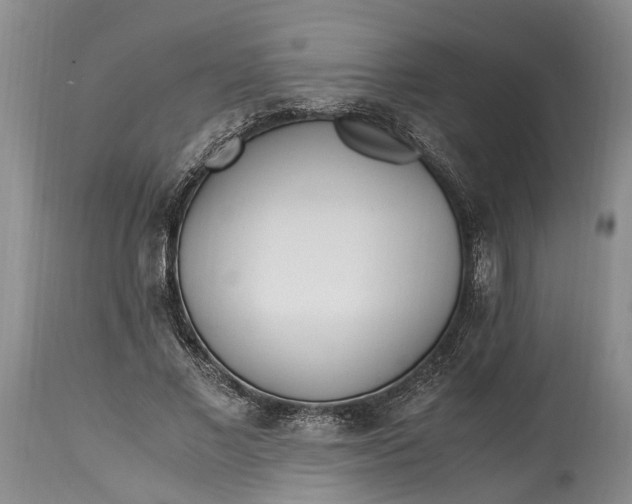 X0000114560685200911091218