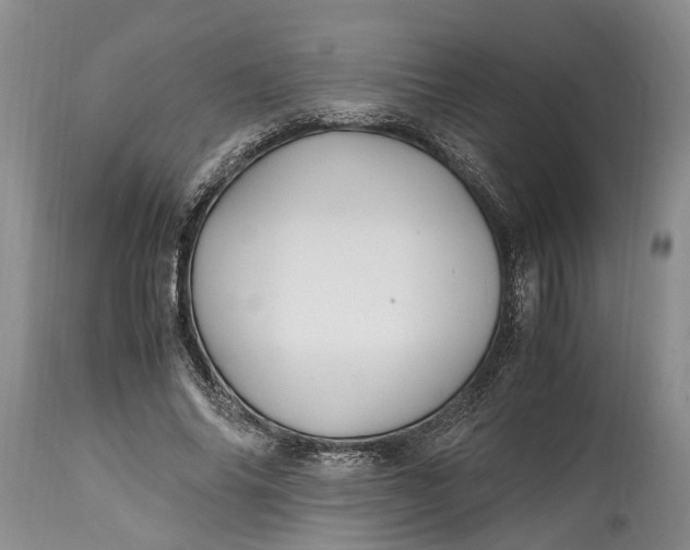 X0000114560686200911091218