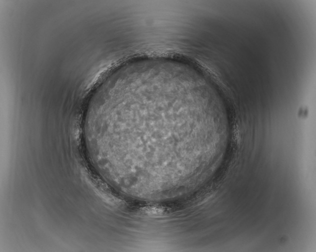 X0000114560687200911091218