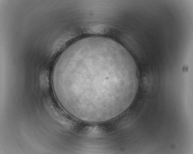 X0000114560688200911091218