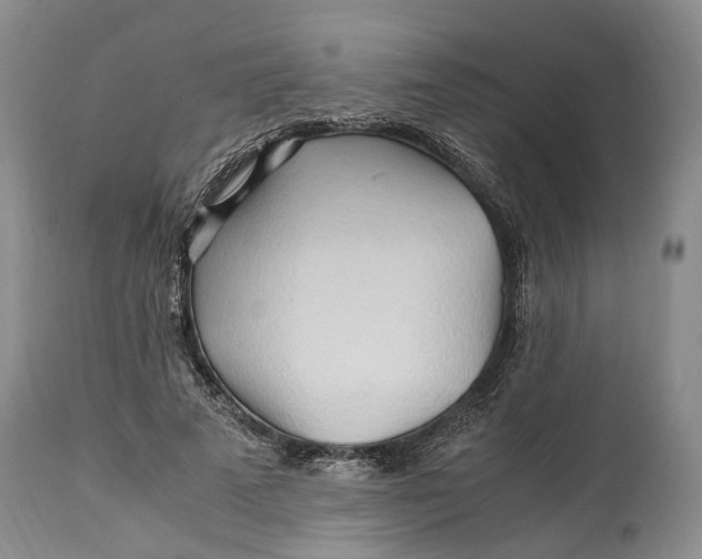 X0000114560689200911091218