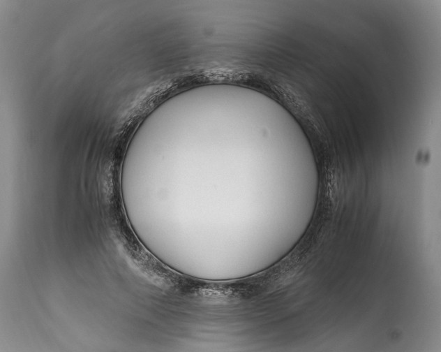 X0000114560690200911091218