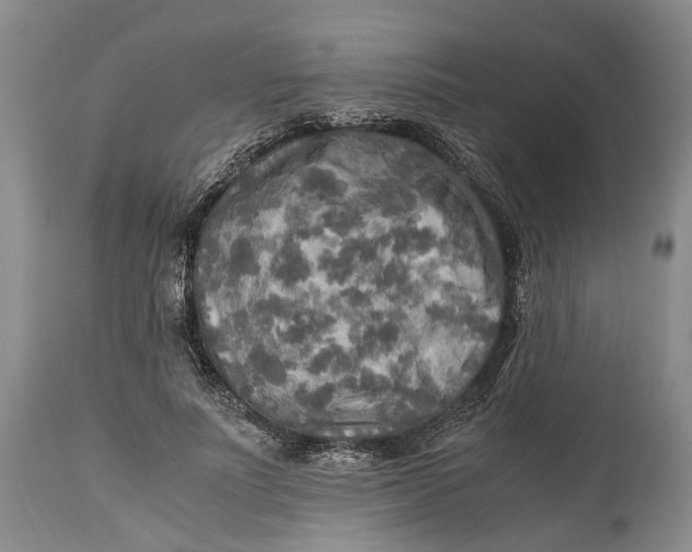 X0000114560691200911091218