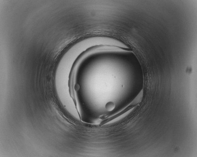X0000114560692200911091218