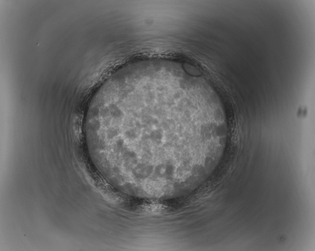 X0000114560695200911091218