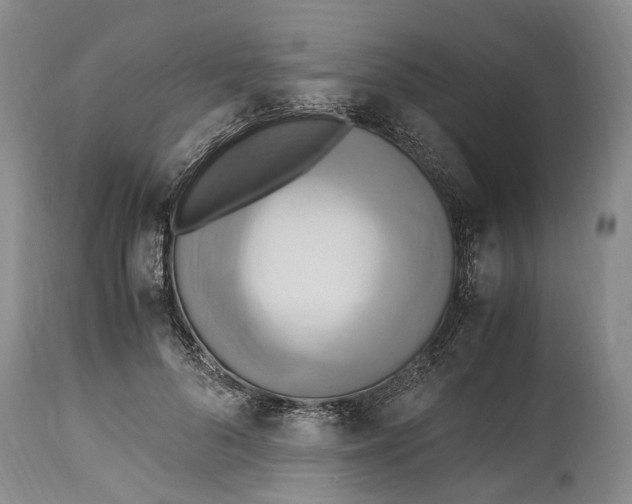 X0000114560696200911091218