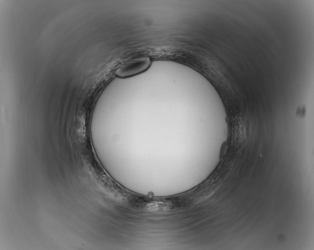 X0000114560700200911091218