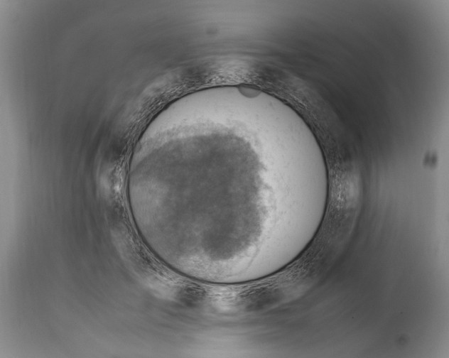 X0000114560701200911091218