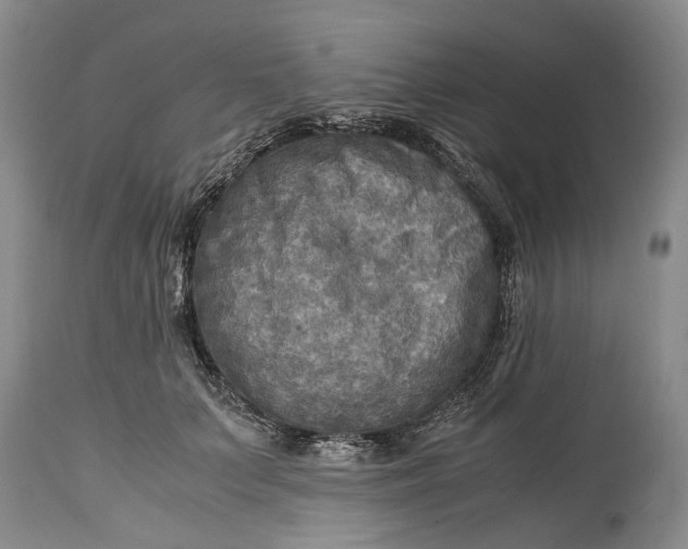 X0000114560703200911091218