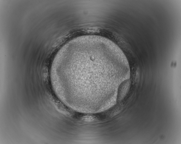 X0000114560704200911091218