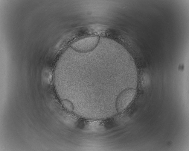 X0000114560709200911091218