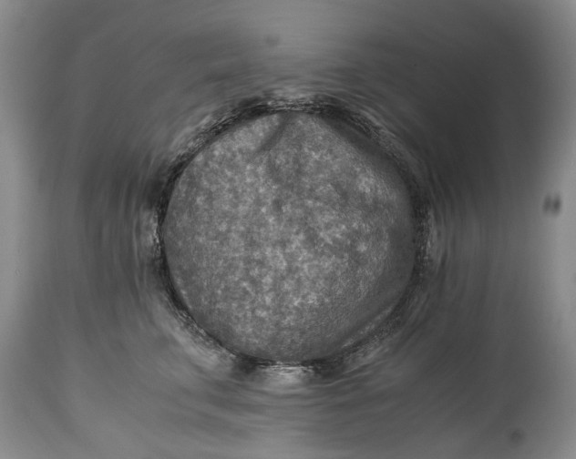 X0000114560711200911091218