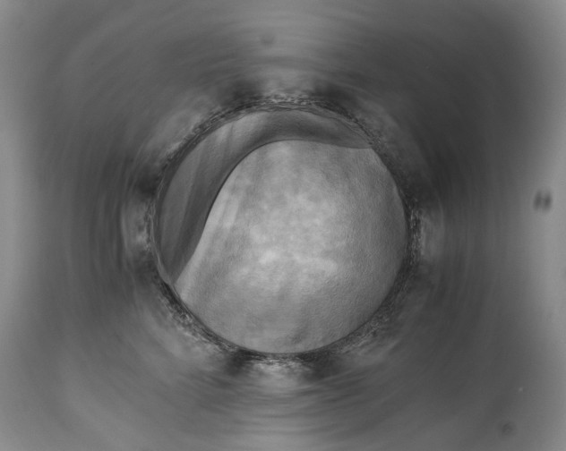 X0000114560712200911091218