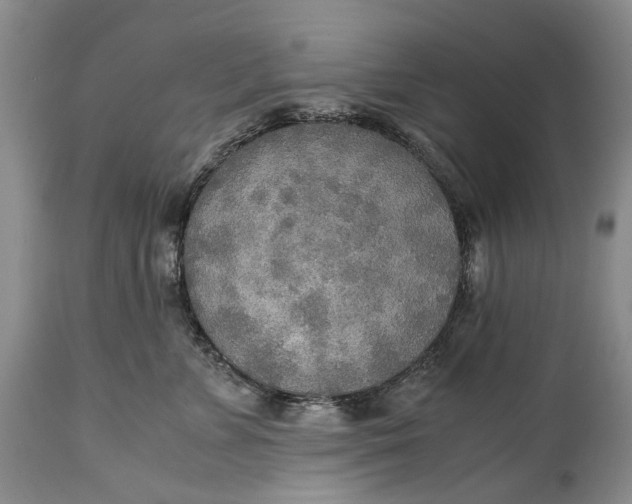 X0000114560715200911091218