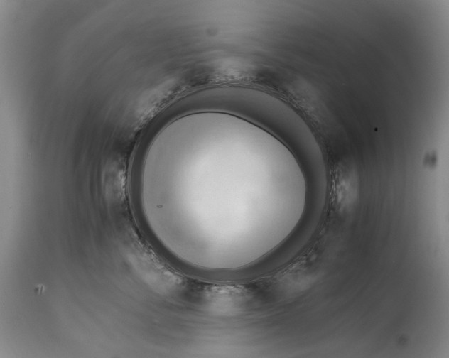X0000114560716200911091218