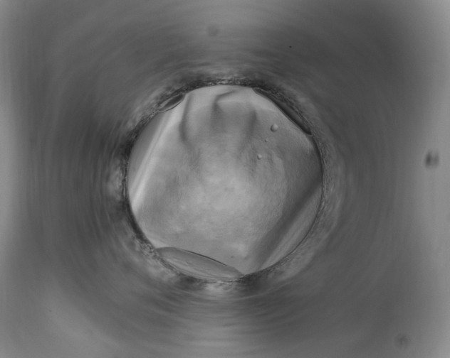 X0000114560720200911091218