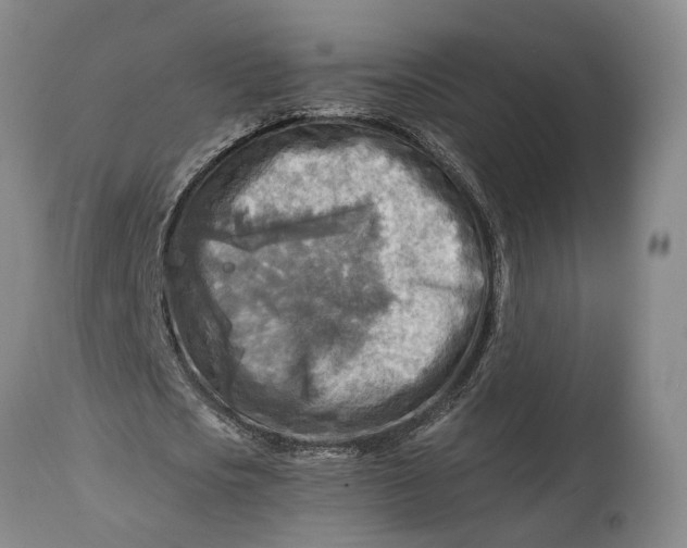 X0000114560721200911091217