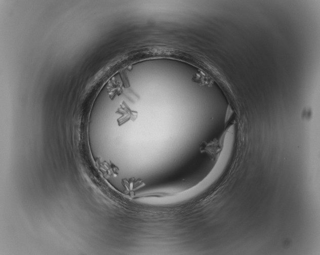 X0000114560722200911091217