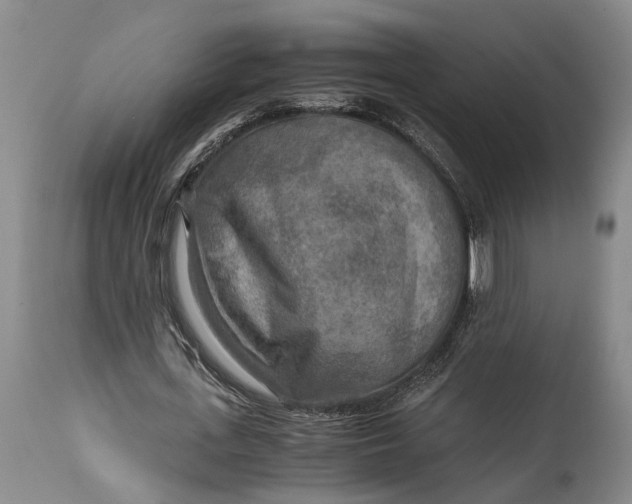 X0000114560723200911091217