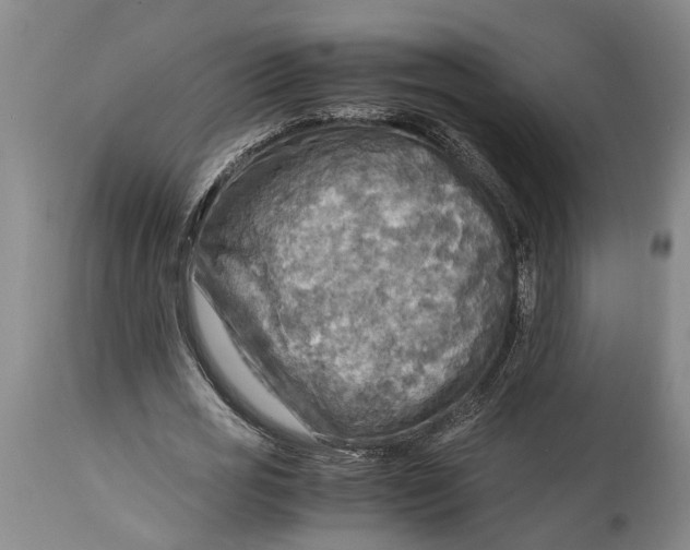 X0000114560725200911091217