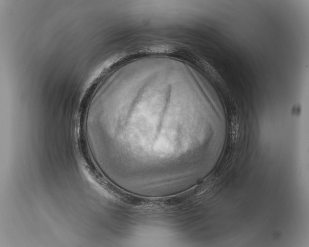 X0000114560726200911091217