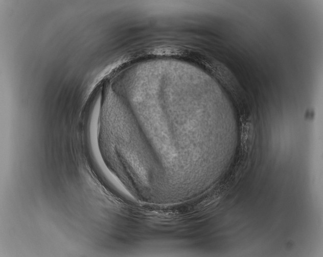 X0000114560727200911091217