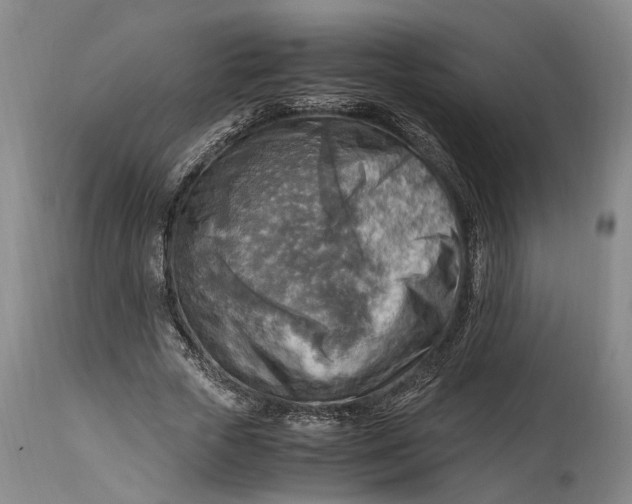 X0000114560729200911091217