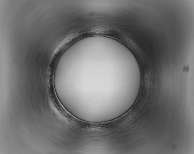 X0000114560730200911091217
