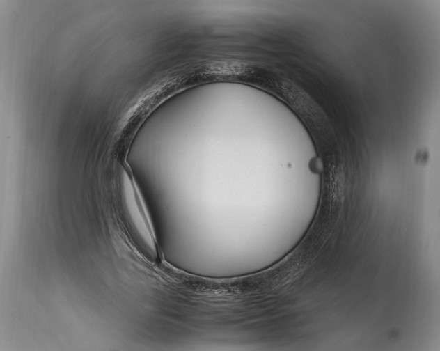 X0000114560731200911091217