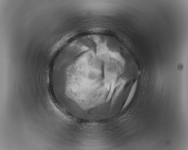 X0000114560734200911091217