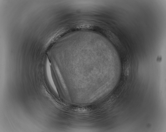 X0000114560735200911091217