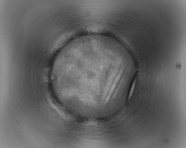 X0000114560738200911091217