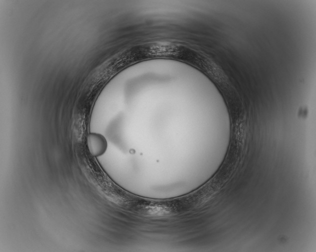 X0000114560741200911091217