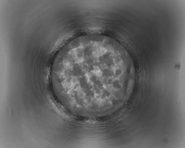 X0000114560742200911091217