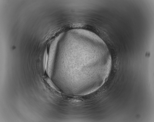 X0000114560743200911091217