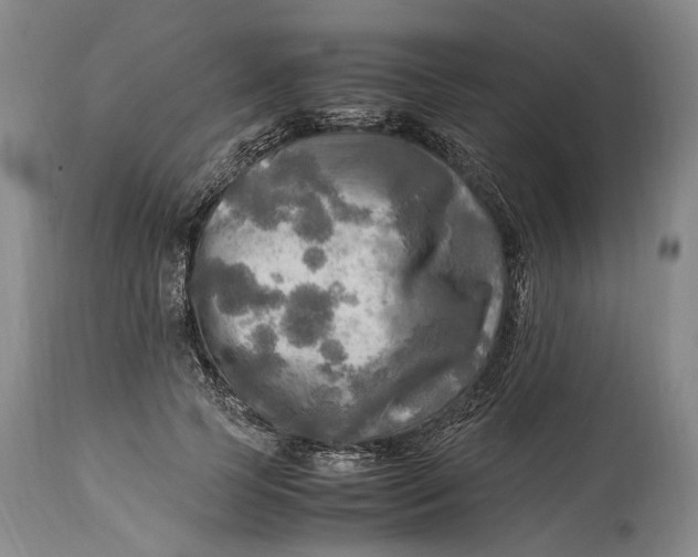 X0000114560745200911091217