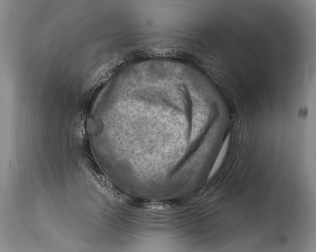X0000114560746200911091217