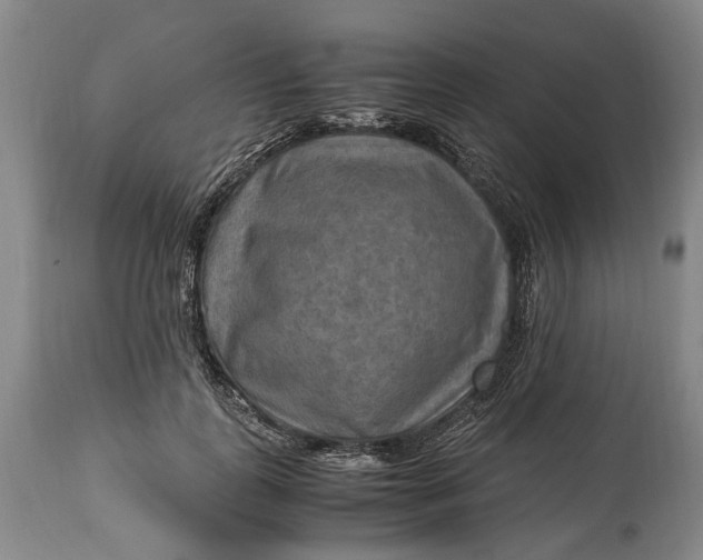 X0000114560747200911091217
