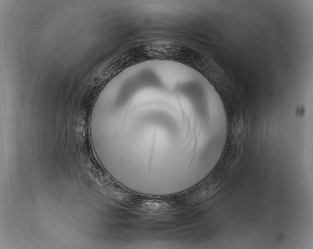 X0000114560749200911091217