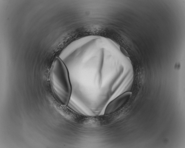X0000114560750200911091217