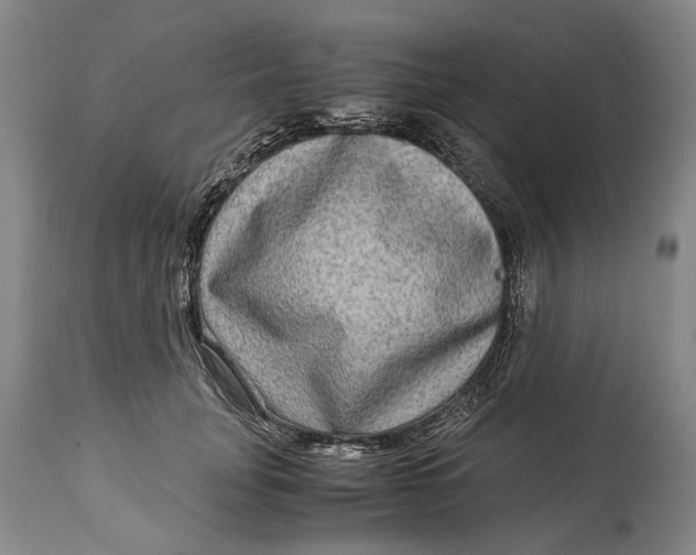 X0000114560751200911091217