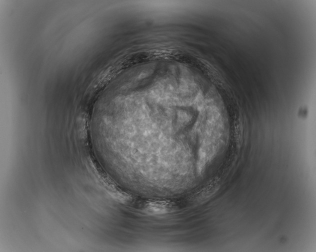 X0000114560757200911091218